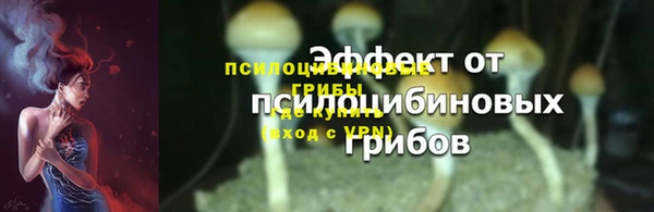 гашик Ладушкин