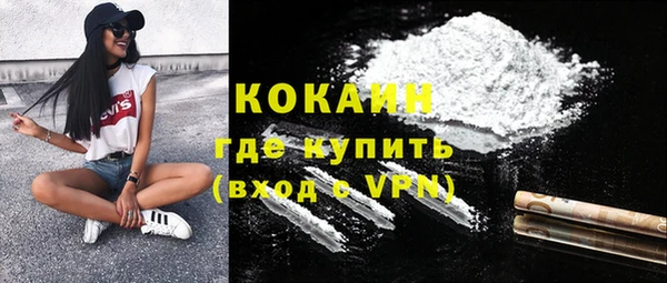 гашик Ладушкин