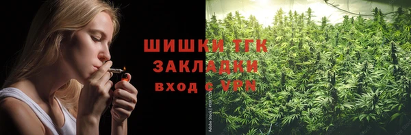 сатива Лабытнанги