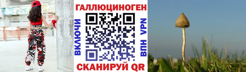 Галлюциногенные грибы GOLDEN TEACHER  Малгобек 